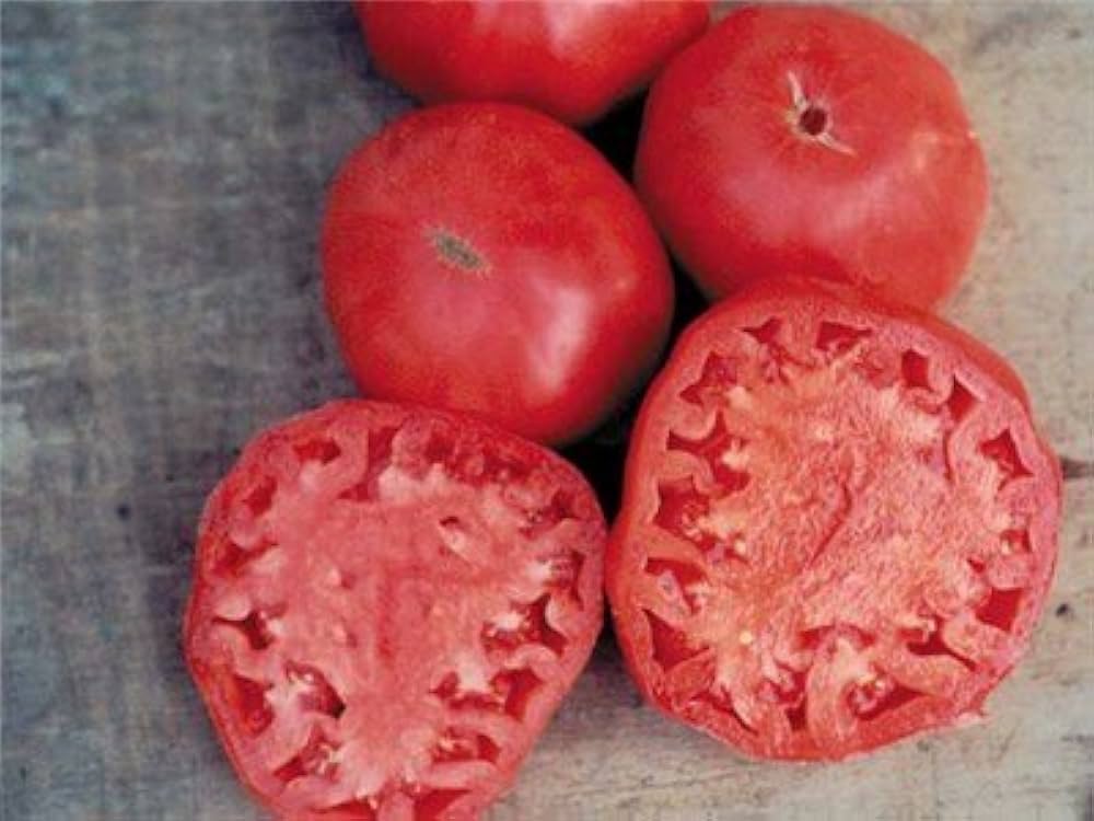 Brandywine (Red potato-leaf tomato) for planting in garden
